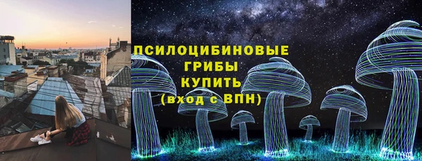 apvp Шарыпово
