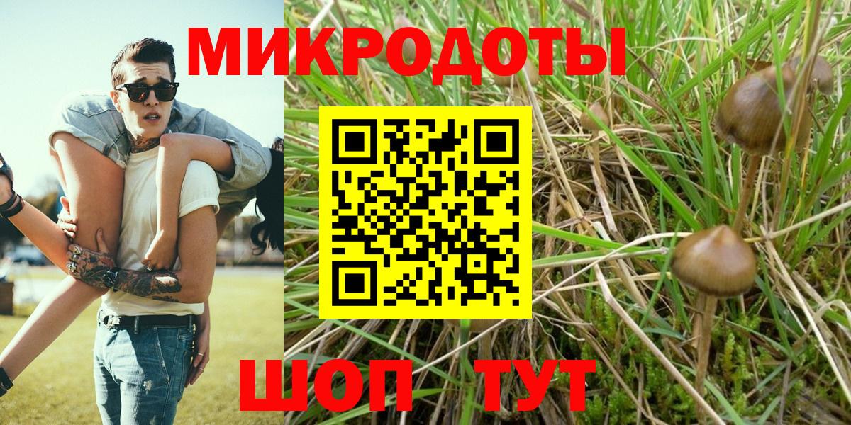 Псилоцибиновые грибы ЛСД Кемерово