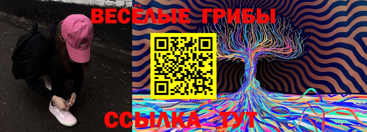 Кемерово  Псилоцибиновые грибы ЛСД  купить наркотики сайты  Вход с VPN 