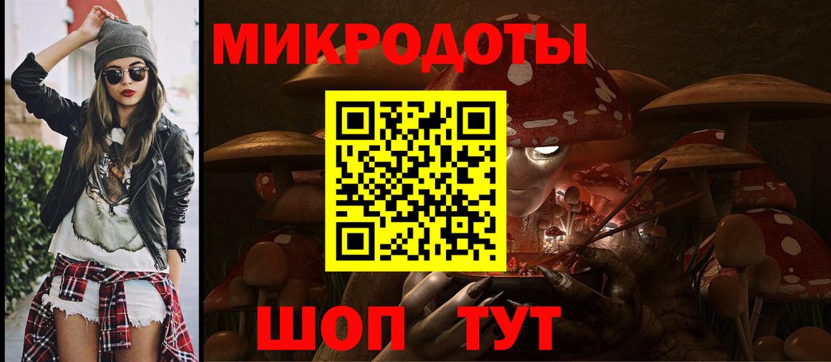 Псилоцибиновые грибы Cubensis  Кемерово  Псилоцибиновые грибы Cubensis 